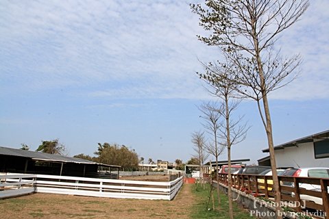 0317巷弄田園01.JPG