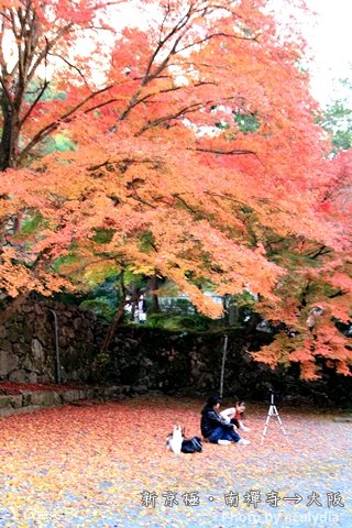 1118南禪寺182.JPG