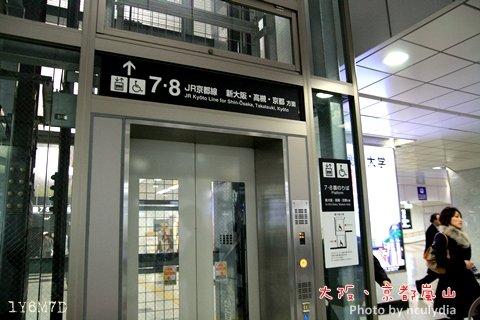 1116嵐山15.JPG