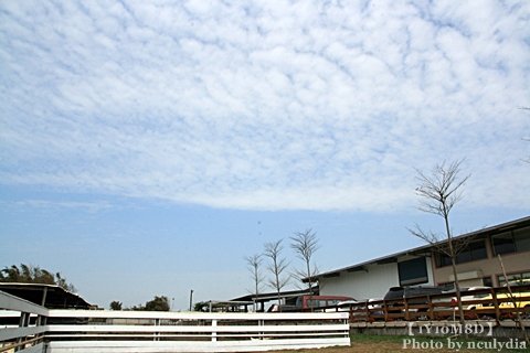 0317巷弄田園03.JPG