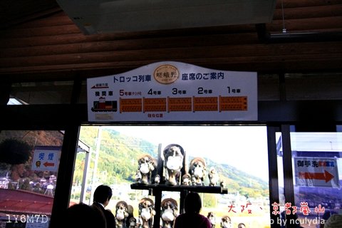 1116嵐山108.JPG