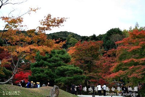 1117清水寺191.JPG