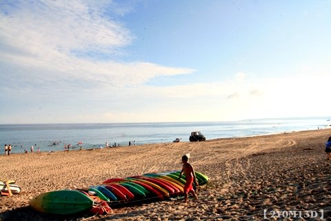 0522海生館&amp;夏都160.JPG