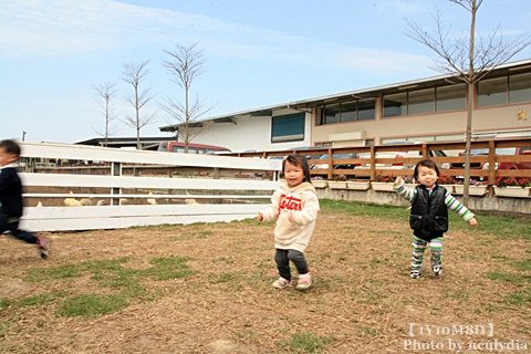 0317巷弄田園42.JPG