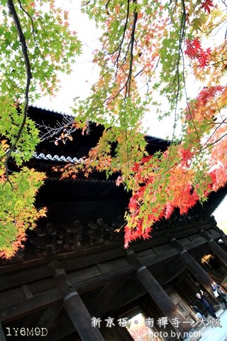 1118南禪寺117.JPG