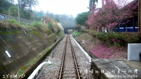 0216婦幼館內灣91.JPG