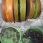20100923_東京菓子燒