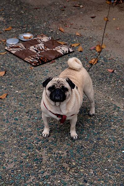 DSC_0152.jpg