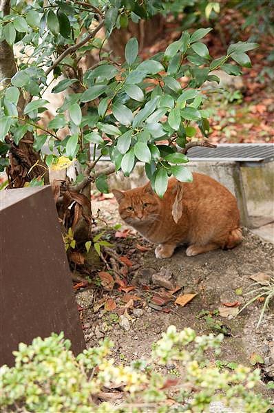 DSC_1234.jpg