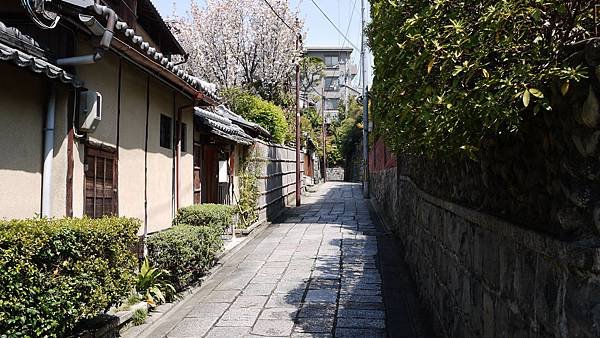 P1020325.JPG