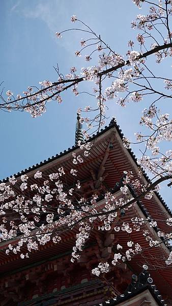 P1020436.JPG