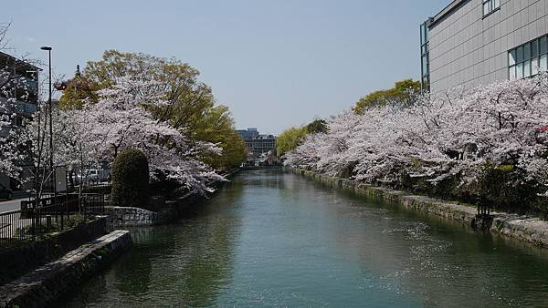 P1010910.JPG