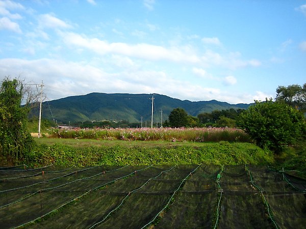 IMG_7909.JPG
