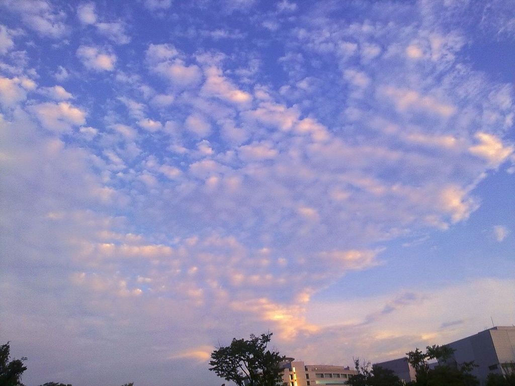 20110614244.jpg