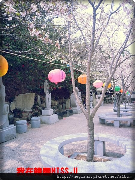 20130404_132019