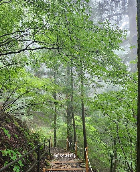 玉置神社 (5).jpg