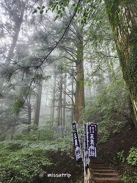 玉置神社 (7).jpg