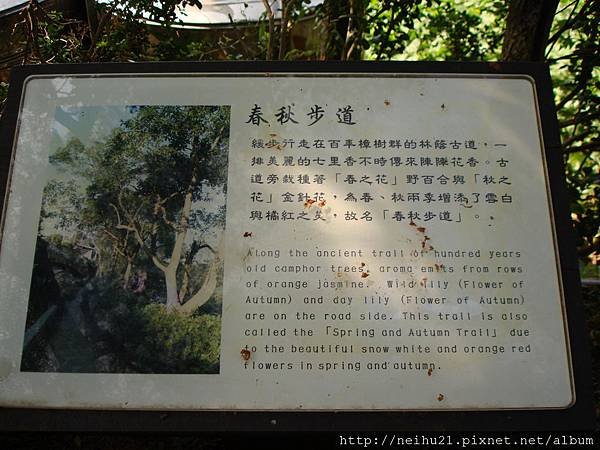 DSC06850.JPG