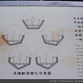 DSC07263.JPG