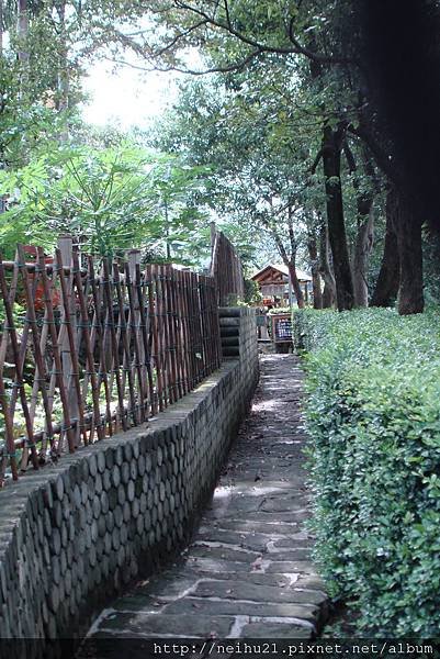 DSC07293.JPG