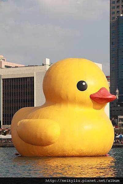 28.JPG