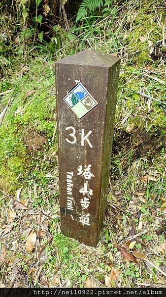 DSC06276.JPG
