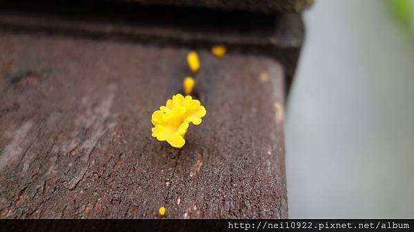 DSC08169.JPG