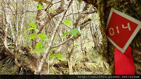 DSC08967.JPG