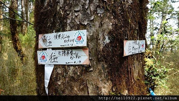 DSC09010.JPG