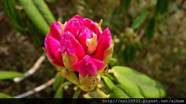 DSC09036.JPG