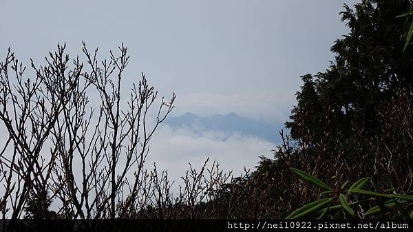 DSC09038.JPG