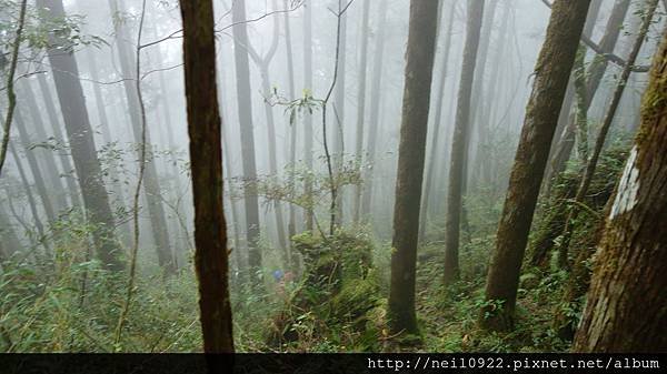 DSC09076.JPG