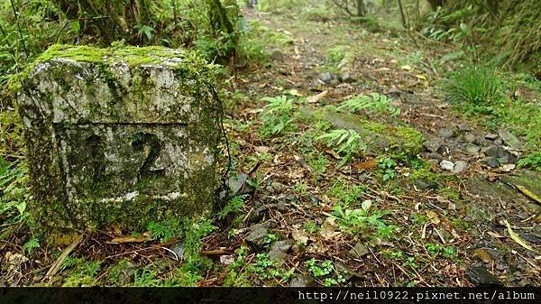 DSC09090.JPG