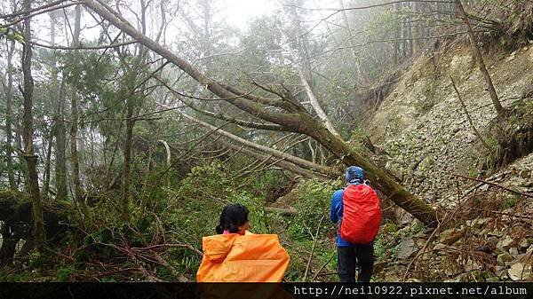 DSC09094.JPG
