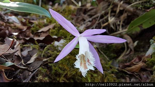 20170312_110520.jpg
