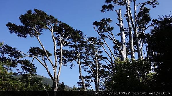 DSC01011.JPG