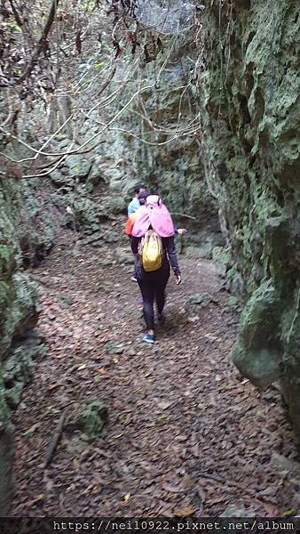 20201030_094745.jpg