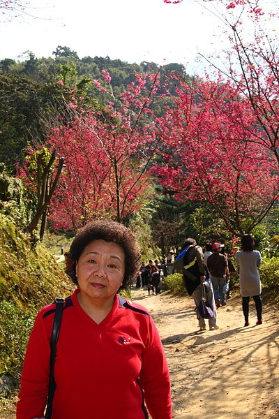 花岩山林_0021.JPG