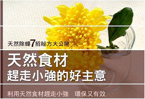 新蟑首圖