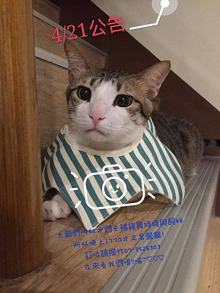 received_10206001250369923_mh1460960438444