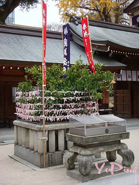 DSC08055 - 複製-027.JPG