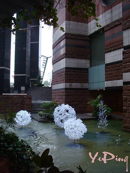 DSC08130-002.JPG