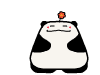 080307030518497.gif