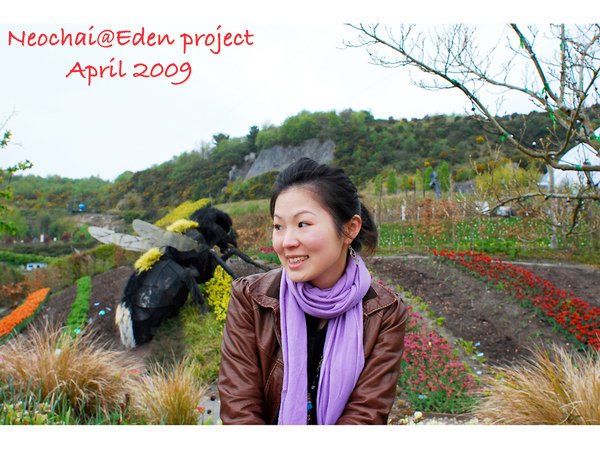 blog-eden project-20.jpg