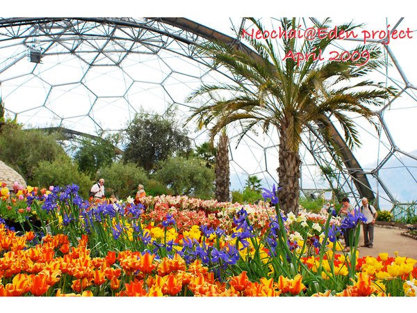 blog-eden project-30.jpg