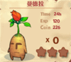 曼德拉