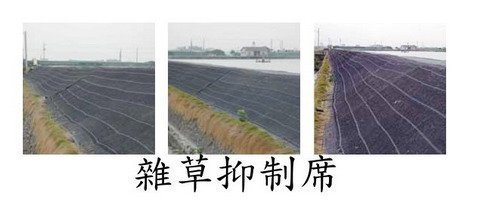 雜草抑制蓆,覆蓋雜草,除雜草,抑草蓆,大鋅製網.jpg