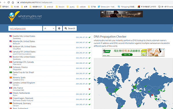 網頁設計 DNS 搜檢器