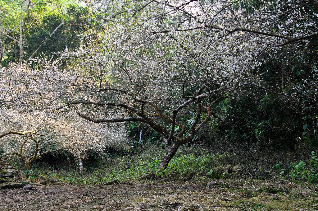 DSC_0348.jpg