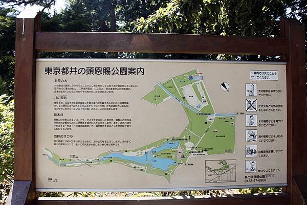 _MG_4603.JPG